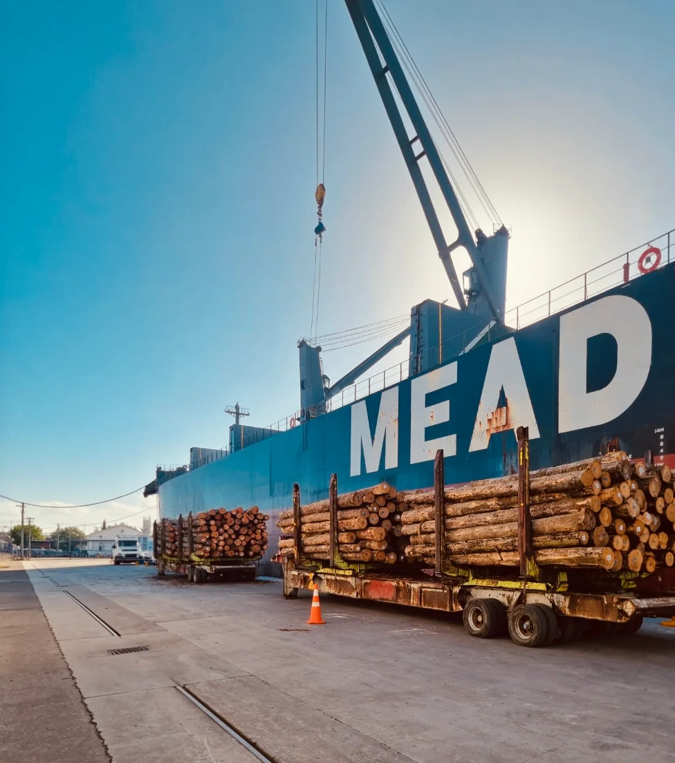 Cargo operations at port